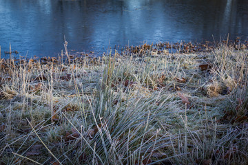 Frozen grass in  hoarfrost in the foreground,the ice surface of the pond.