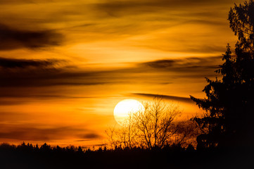 Sunset view with a yellow-orange sky background