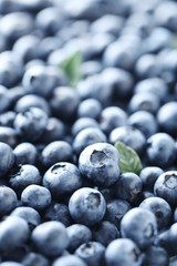 Ripe and tasty blueberries background