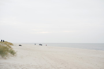 Fototapeta na wymiar People walk on the beach in autumn