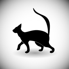Black Silhouette Cat Animal Pet Web Icon Flat Vector Illustration