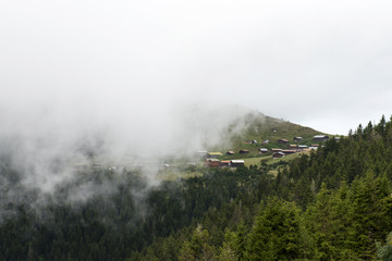 foggy day at plateau