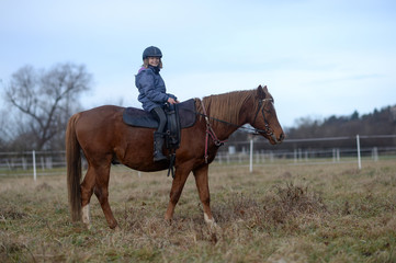 Mädchen mit Pferd