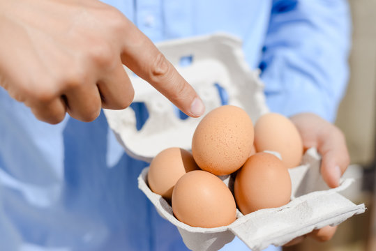 Person holding an egg. Top side view closeup image
