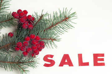 hot Sale and pine branches
