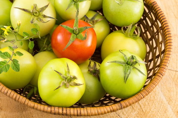 Green tomatoes in a wicker basket