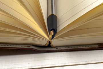 Close-up of open book and pen.