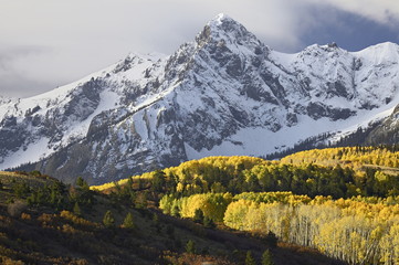 Sneffels Range with aspens in fall colors, near Ouray, Colorado