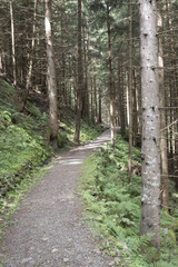 Fototapeta premium Roggia di Gais