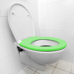 Toilet bowl with green seat in a modern bathroom. Homemade production of biomass and biogas. Renewable energy for your home. Environmentally friendly life in European Union.