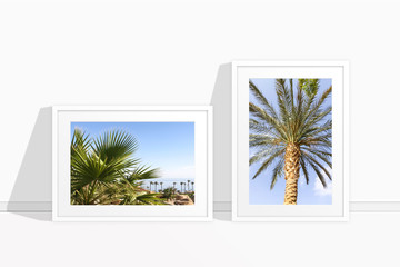 Frames  with pictures of  palms, travel motif decor