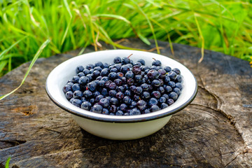 Dish of ripe blueberries on the old stump