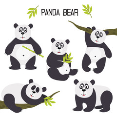 set of isolated panda bear - vector illustration, eps