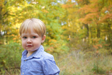 adorable toddler boy walking in park during fall autumn season