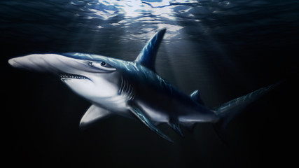 Hand painted swimming big hammerhead shark. - obrazy, fototapety, plakaty