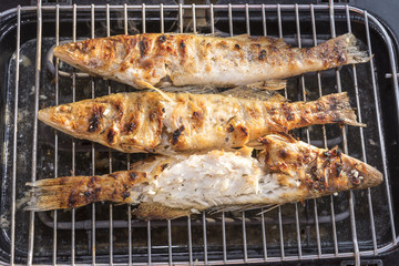 Fish perch baked at home on the grill