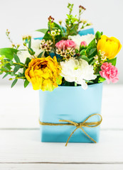 live spring flowers on white background