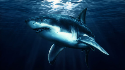 Fototapeta premium Hand painted swimming big shark.