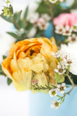 live spring flowers close up yellow tulips
