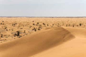 Fototapeta na wymiar outdoor sand pattern dune oman old desert rub al khali