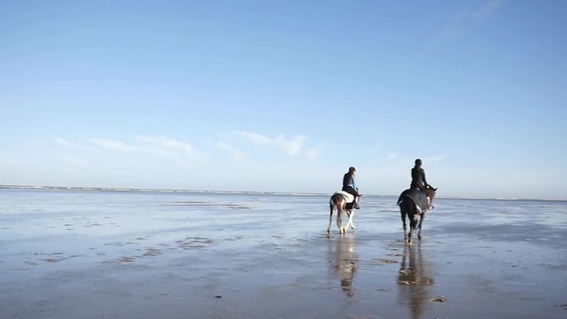 trottant cavalière sur la plage(slow motion)