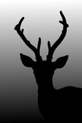 deer head silhouette