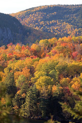 Herbstlaubf&auml;rbung