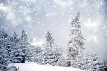 Winter landscape with snowy fir trees