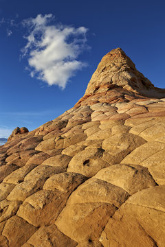 Sandstone hill with brain texture and a cloud, Coyote Buttes Wilderness, Vermillion Cliffs National Monument, Arizona