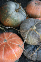 Green and orange pumpkins