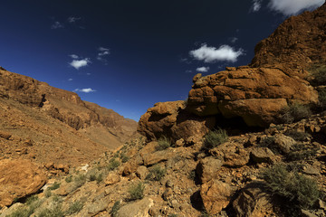 Todra Schlucht, Tinghir, Marokko, Weg zum Plateau < english> Todgha Gorge, Tinghir, Morocco