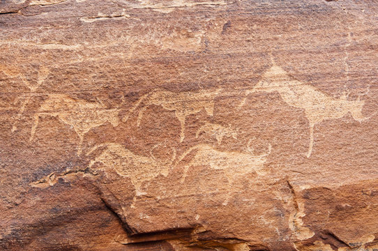 Petroglyphs or rock engravings, Twyfelfontein, Damaraland, Kunene Region, Namibia