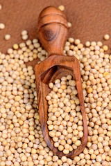 Wooden scoop with mustard seeds