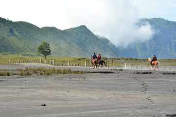 East Java, Indonesia - May 12, 2016 : Unidentified horse riders for rent to Mount Bromo in East...