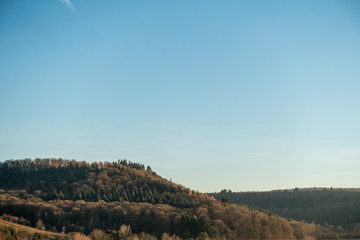 Wald im Spätherbst