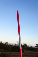 Detail of a snow srake