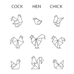 Collection of polygonal poultry