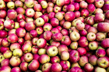 red apples