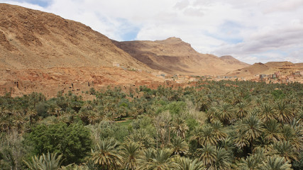 Tinerhir, Tinghir,oasis, Todra Valley , morocco