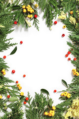 Christmas background border with evergreen fir tree