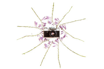 Creative arrangement of purple hosta flowers with retro camera
