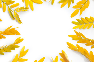 Yellow leaves arranged in round shape on white background. 