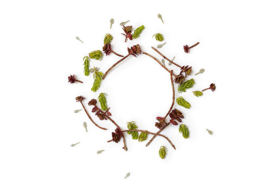 Floral round frame on white background. Flat lay, top view. 