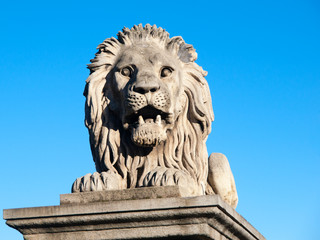 Fototapeta na wymiar Lion sculpture on Chain Bridge in Budapest, capital city of Hungary, Europe. Detailed shot on blue sky background.