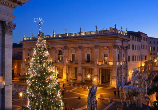 Illuminated Christmas tree in Capitoline Hill at night, Rome, Italy