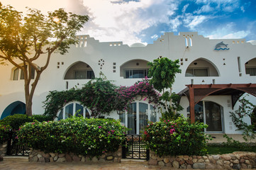 white house red sea in tropical resort whith palm and sand