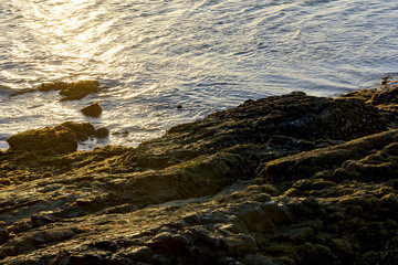 Golden sunset over the stones and water in Buzios, Rio de Janeiro