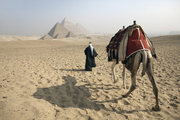 A Bedouin guide and camel approaching the Pyramids of Giza, Cairo, Egypt,North Africa