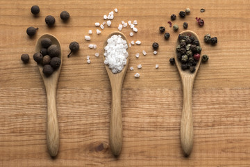 Pimento beans, salt crystals and color pepper on wooden spoons on wooden table.