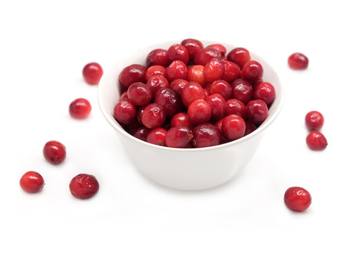 Cranberries in round white bowl and scattered berries isolated on white background indoor front view close up